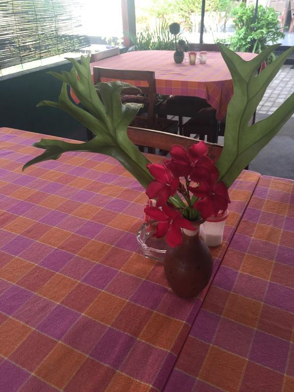 Bolonghes Homestay Негомбо Экстерьер фото